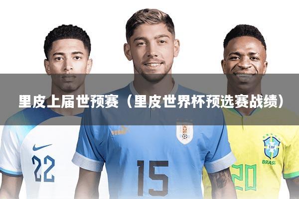 里皮上届世预赛（里皮世界杯预选赛战绩）