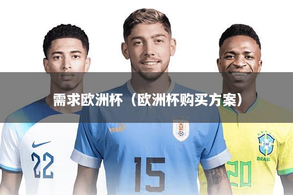 需求欧洲杯（欧洲杯购买方案）